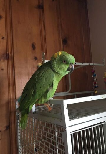 Bryan (@jenkins23) — my photo № 3