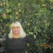 Liya 60 Rostov-on-don