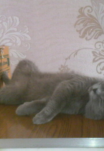 ALEKSANDR (@aleksandr60830) — my photo № 7