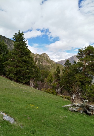 Denis (@n-denis) — my photo № 19
