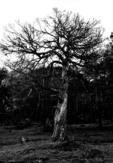 Denis (@n-denis) — my photo № 45