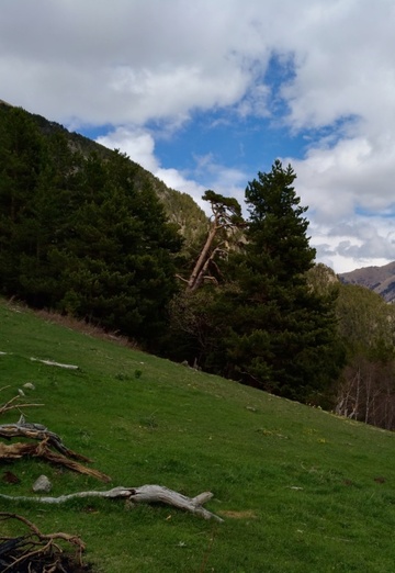 Denis (@n-denis) — my photo № 20