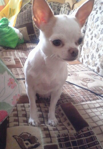 Vera (@vera35083) — my photo № 9