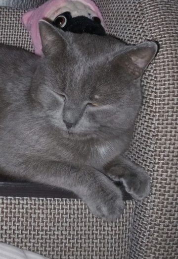 Anrey (@anrey872) — my photo № 3