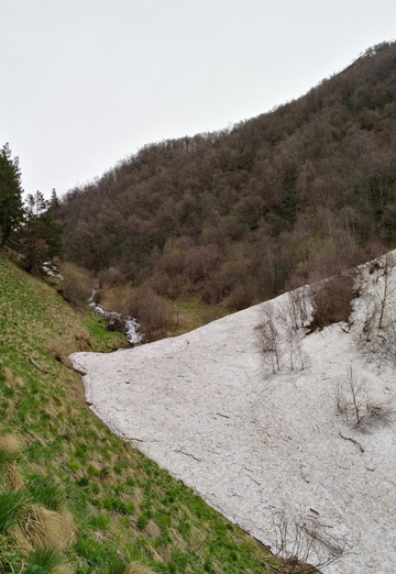 Denis (@n-denis) — my photo № 64