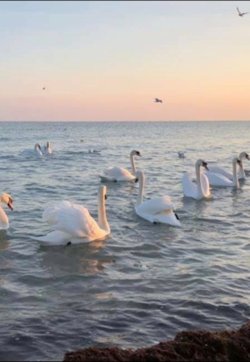 Evgeniya (@evgeniya62833) — my photo № 11