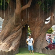 vladimir 52 Seoul