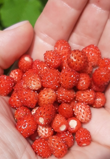 Evgeniya (@evgeniya62833) — my photo № 13