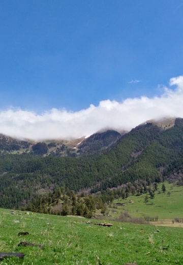 Denis (@n-denis) — my photo № 33