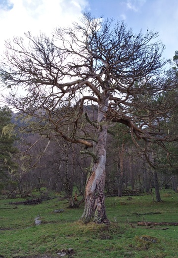 Denis (@n-denis) — my photo № 46