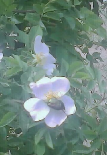 georgiy (@georgiy7222) — my photo № 4