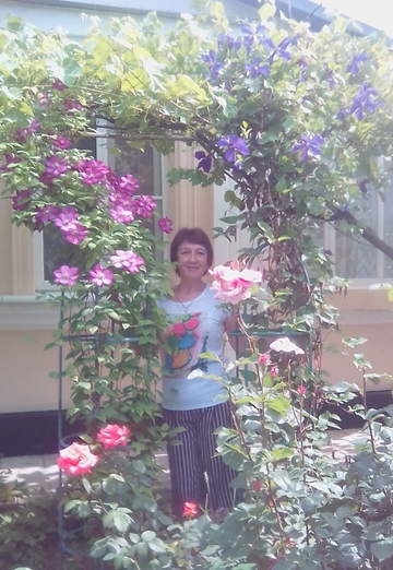 My photo - natalya, 63 from Abinsk (@natalya203118)